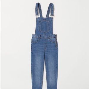Skinny Denim Overalls